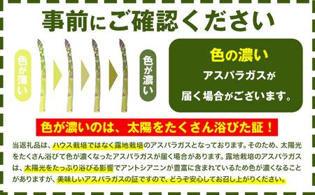 【TVで紹介！】名寄 アスパラガス Lサイズ(1kg) アスパラ 先行予約 ≪2027年出荷≫