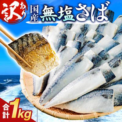 ふるさと納税 石巻市 訳あり 無塩サバフィレ 1.0kg (10枚前後) 冷凍 さば 鯖 不揃い 魚 お魚 焼き魚