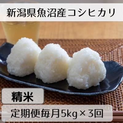 ふるさと納税 十日町市 【毎月定期便】新潟県魚沼産コシヒカリ「山清水米」精米5kg全3回