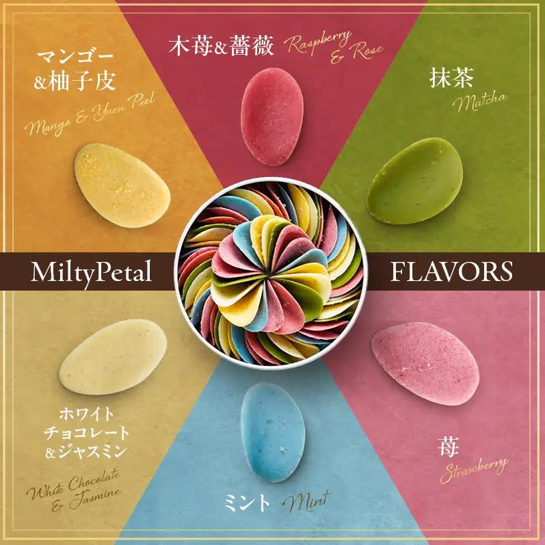 【花びらのようなチョコレート ミルティペタル】6つのフレーバーをお楽しみください＜福岡市＞ | チョコ チョコレート お菓子 スイーツ お取り寄せ お取り寄せスイーツ かわいい おしゃれ ギフト プレ