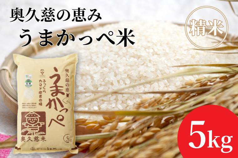 
            令和7年産【新米】奥久慈の恵みうまかっぺ米（コシヒカリ） 5㎏｜茨城県 大子町 お米 白米 精米 ブランド米 銘柄米 食味値 ふっくら もちもち（AH002-1）
          