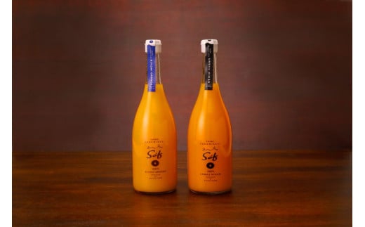 Saito Orange Farm 温州みかん720ml×1本＋清見720ml×1本 計2本セット 【 ふるさと納税 人気 おすすめ ランキング ジュース みかん 蜜柑 柑橘 温州ミカン 温州みかん 清見 ミカンジュース みかんジュース フルーツ 果物 Saito Orange Farm 愛媛県産 愛媛県 伊方町 送料無料 】 IKTAQ023