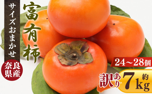 【 訳あり 】 富有柿 7.0kg 箱 サイズおまかせ（ 24個 ～ 28個 ） | フルーツ くだもの 果物 柿 かき カキ 奈良県 五條市 果実 11月 12月 発送 秋 旬 味覚 グルメ お取り寄せ 送料無料 大容量 農家直送 産地直送 ビタミン タンニン 食物繊維 豊富 美容 健康 熊代農園 特産品 多汁 甘い 柔らかい ジューシー 甘柿 訳アリ わけあり