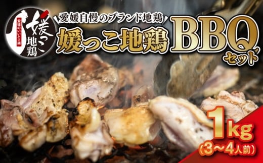 媛っこ地鶏 BBQセット 1kg（3～4人前）｜ モモ ムネ 手羽先 愛媛県 久万高原町 久万山養鶏研究所 地鶏 鶏肉 肉 食感 旨み アウトドア キャンプ 炭火焼 ジューシー お取り寄せ グルメ 国産 冷蔵 ※北海道・沖縄・離島への配送不可