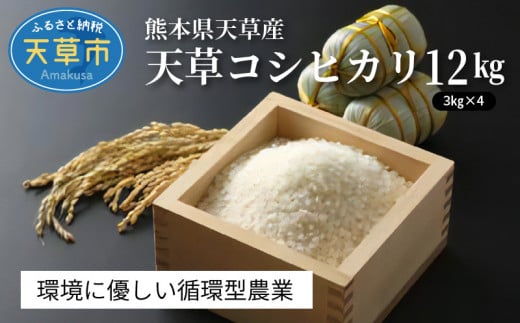 S109-004A_〈令和8年産〉熊本県天草産　天草コシヒカリ12kg（3kg×４） 【先行予約】 新米 令和8年産 コシヒカリ 12kg 精米 3kg × 4袋 単一原料米 国産 米 お米 白米 甘み 香り ツヤ 粘り バランス 美味しい ごはん おにぎり 弁当 おむすび 土作り こだわり 小分け 冷蔵庫 保管可能 お取り寄せ 食品 九州 熊本県 天草市 送料無料