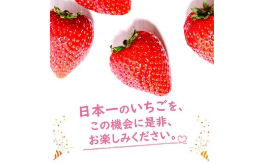 [期間限定] 鮮度抜群とちあいか 290g×8P 先行予約【栃木県共通返礼品】｜栃木県産 矢板市産 フルーツ スイーツ デザート 果物 果実 産地直送 栃木県 矢板市 約290g×8P | 17,00