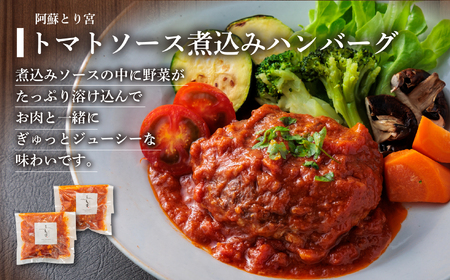 種類いろいろ！ハンバーグ セットver.2