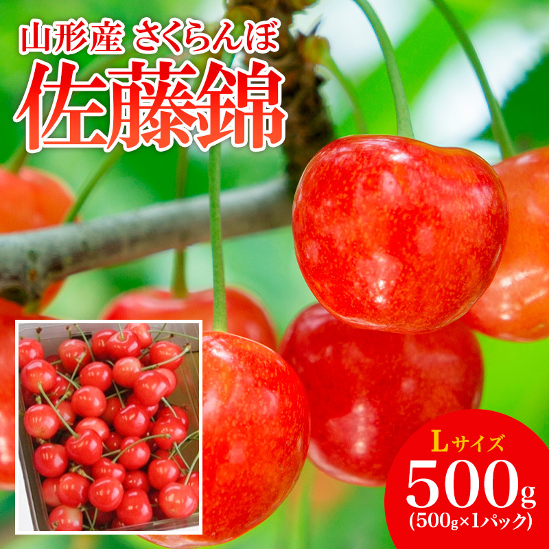 山形産 さくらんぼ 佐藤錦 L 500g 【令和8年産先行予約】FS25-505
