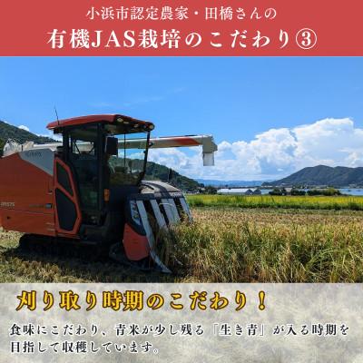 ふるさと納税 小浜市 福井県産こしひかり　JAS有機米　玄米　10kg　 |  | 03