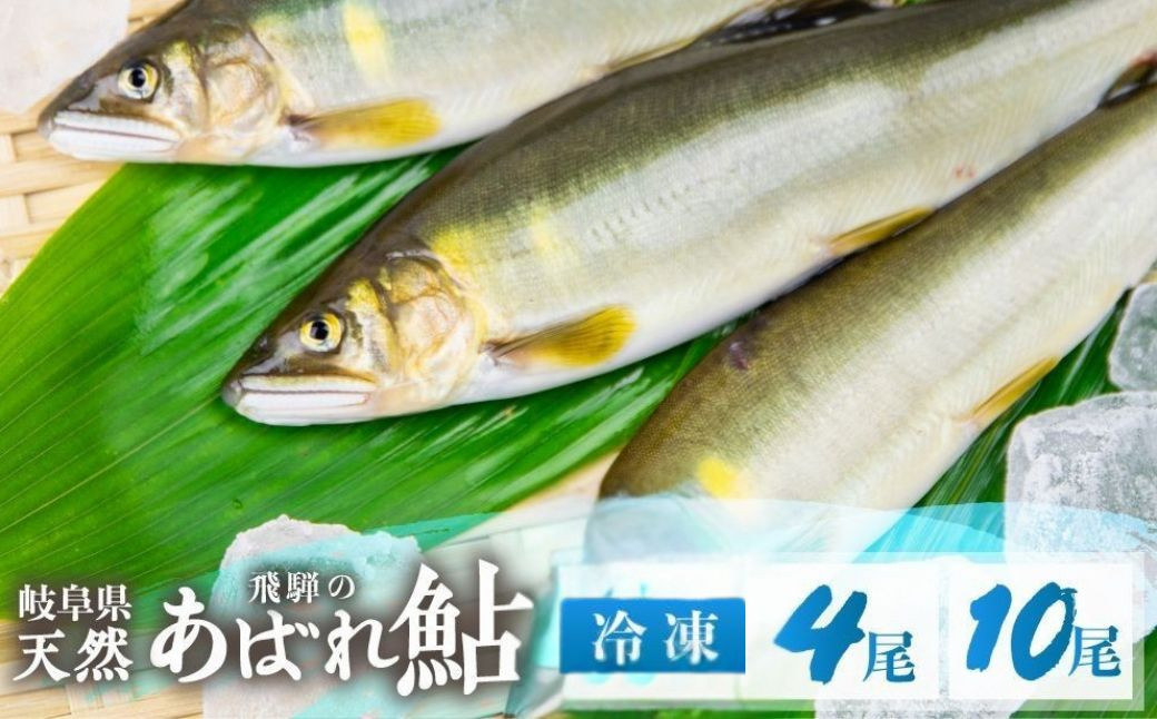 
            2025年産 飛騨 天然鮎 中サイズ 4尾 10尾 天然 アユ 鮎 選べる内容量 岐阜県 室田名人 宮川下流 飛騨のあばれ鮎 高級料亭御用達 急速冷凍 冷凍 あゆ 魚 天然 川魚 [Q1459_25] 13000円 32000円
          