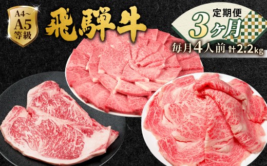 
                  全3回 飛騨牛 定期便 計2.2kg 4人前 すき焼き しゃぶしゃぶ ステーキ 焼肉 BBQ ロース カタロース ロースステーキ モモ カタ 贅沢 贈り物 3ヶ月 定期 おすすめ 選べる 人気 飛騨 ブランド牛 肉のひぐち 岐阜県 七宗町
                