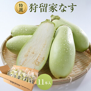 狩留家なす 11本