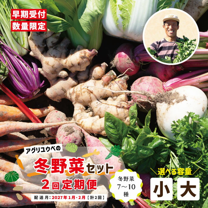 【ふるさと納税】【選べる容量】2回定期便 アグリユウベの冬野菜セット 小 大 早期受付 数量限定 とれたて 新鮮 農家直送 国産 野菜セット 詰め合わせ 野菜便 やさい 野菜 冬野菜 旬 高知県 四万十市 四万十 しまんと 送料無料【配送月：2027年1月・2月】