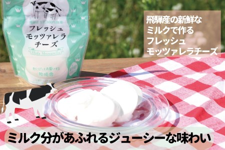 2022年にゃんにゃん乳製品セット 牛乳 飲むヨーグルト 生クリームヨーグルト モッツァレラチーズ 牧成舎 ギフト 福袋 詰め合わせ (SAVE THE CAT HIDA支援)12000円 [neko