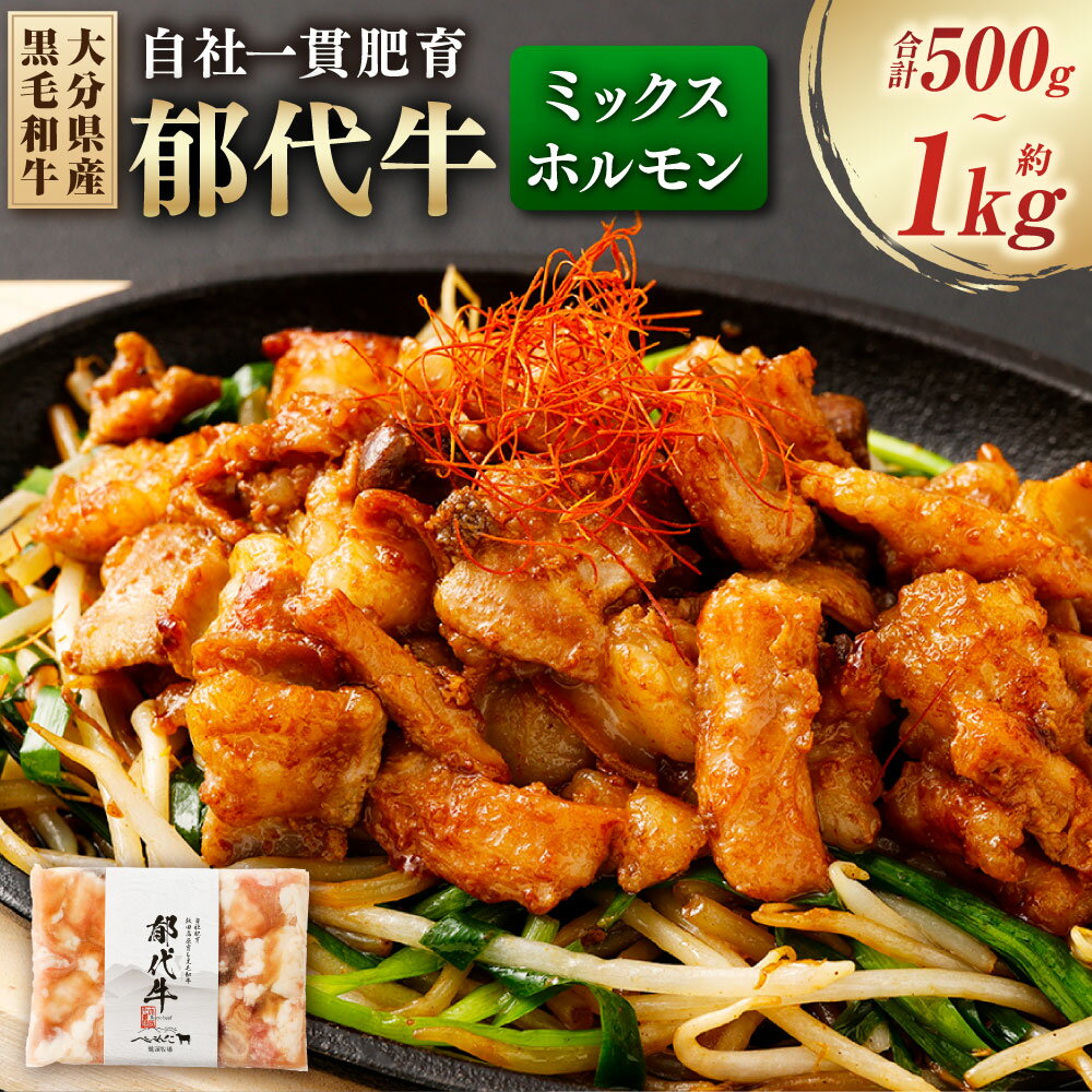 【ふるさと納税】【選べる容量】自社一貫肥育・郁代牛ミックスホルモン 大分県産黒毛和牛 約500g 約1kg ミックスホルモン 牛ホルモン 肉 お肉 ホルモン 焼き肉 焼肉 黒毛和牛 和牛 国産 冷凍 九州 大分県 九重町 送料無料