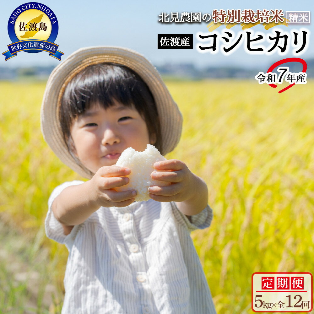 【ふるさと納税】【令和7年産先行予約】＜米 定期便 全12回＞北見農園の特別栽培米 佐渡産コシヒカリ（5kg×全12回）農家自慢の逸品 精米