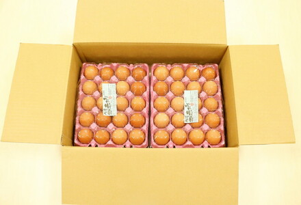 卵 新鮮 京都丹波の赤たまご 計40個 割れ保証あり 卵 生卵 鶏卵 卵黄 卵白
