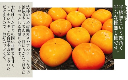 【令和6年産先行予約】 庄内柿 (L～4Lサイズ) 秀品 約5kg (25～31個) 山形県鶴岡市産　株式会社 元青果