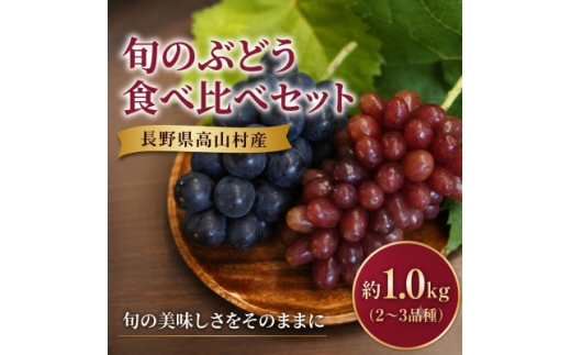 長野県高山村産 旬のぶどう食べ比べセット 約1.0kg(2～3品種)【1750906】