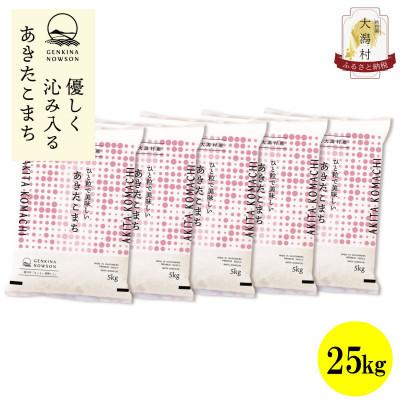 ふるさと納税 大潟村 【毎月定期便】秋田県産あきたこまち無洗米25kg(5kg×5)全6回