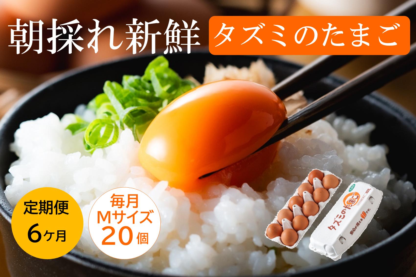 
                  【レビューキャンペーン対象】【累計600万個突破！】★TVで紹介されました★【定期便】タズミの卵Ｍサイズ（20個×6か月）030AB02N.／こだわり卵 市川町産 兵庫県産 たまご たまごかけご飯 玉子 生卵 鶏卵 タマゴ 卵焼き オムレツ 親子丼 すき焼き 目玉焼き 鶏 TKG 6か月 定期便
                