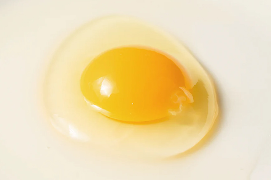 上原養鶏場のはっこう卵(アローカナ）S~Lサイズ 35個+破卵保障5個