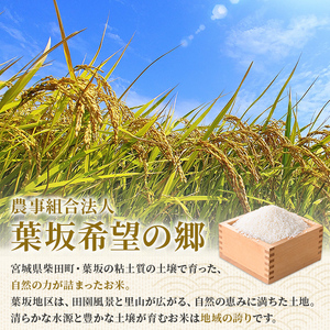 ＜先行予約！R8年10月中旬から順次発送予定＞【令和8年産 新米】ササニシキ 玄米 30kg 柴田町産 お米 おこめ 米 コメ ご飯 ごはん おにぎり お弁当 【農事組合法人 葉坂希望の郷】sh106