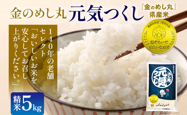 
            金のめし丸元気つくし精米５kg 元気つくし 福岡 お米 米 ごはん ご飯 お弁当 おにぎり 金のめし丸県産米 福岡ブランド米 めし丸 志免 志免町 福岡県
          