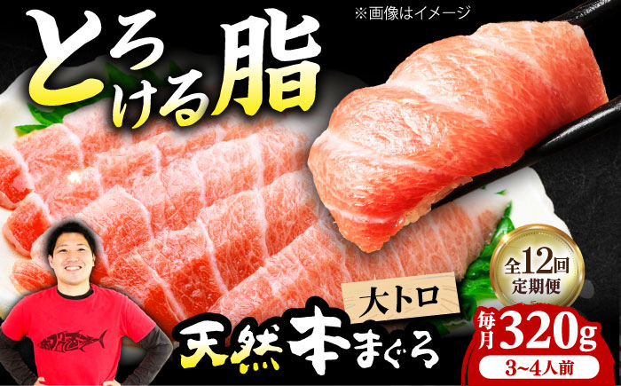 
            【全12回定期便】極上！たね熟天然本まぐろ大トロ(320g) 天然 マグロ 鮪 大トロ 刺身 魚 魚介 魚介類 海鮮丼 本マグロ 本まぐろ 本鮪 赤身 大トロ 冷凍 お刺身 お寿司 大阪府高槻市/本まぐろ直売所 [AOCE024]
          