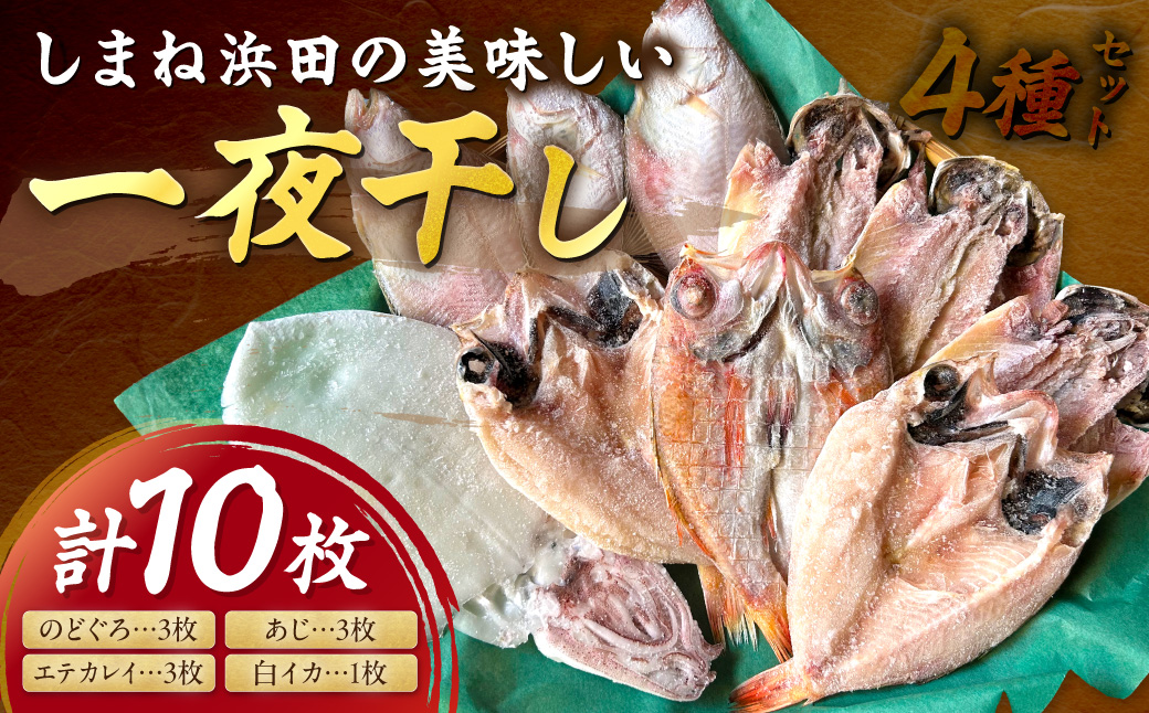 しまね浜田の美味しいのどぐろ あじ カレイ 白いか 一夜干しセット 魚介類 魚貝類 魚 干物 干もの 一夜干し おかず つまみ セット 詰め合わせ 父の日 【161_1709】