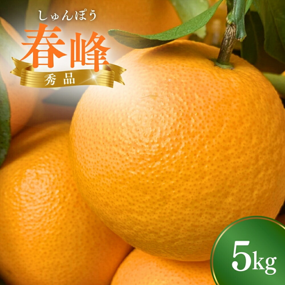 【ふるさと納税】 みかん 和歌山発の新品種！ ＼先行予約／ 春峰 5kg 希少柑橘 （2026年2～3月頃から順次発送予定） （しゅんぽう/はるかぜ） / 清見オレンジと文旦 みかん 和歌山 和歌山ミカン 高級みかん 人気みかん みかんランキング 果物 フルーツ 柑橘 蜜柑 産地直送