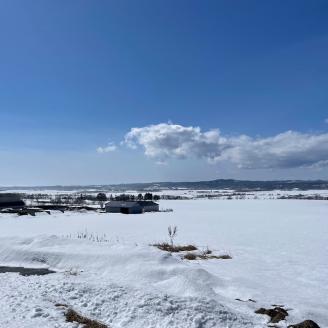 【2025年春出荷（先行予約商品）】ホクホク甘い♪北海道十勝豊頃産 じゃがいもメークイン5㎏［遠藤農場株式会社］