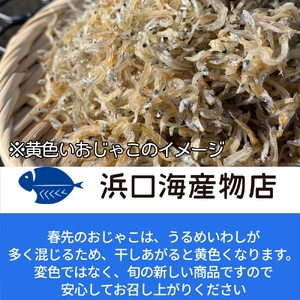 浜口海産物店のちりめんじゃこ（70ｇ× ３袋セット）【R00794】