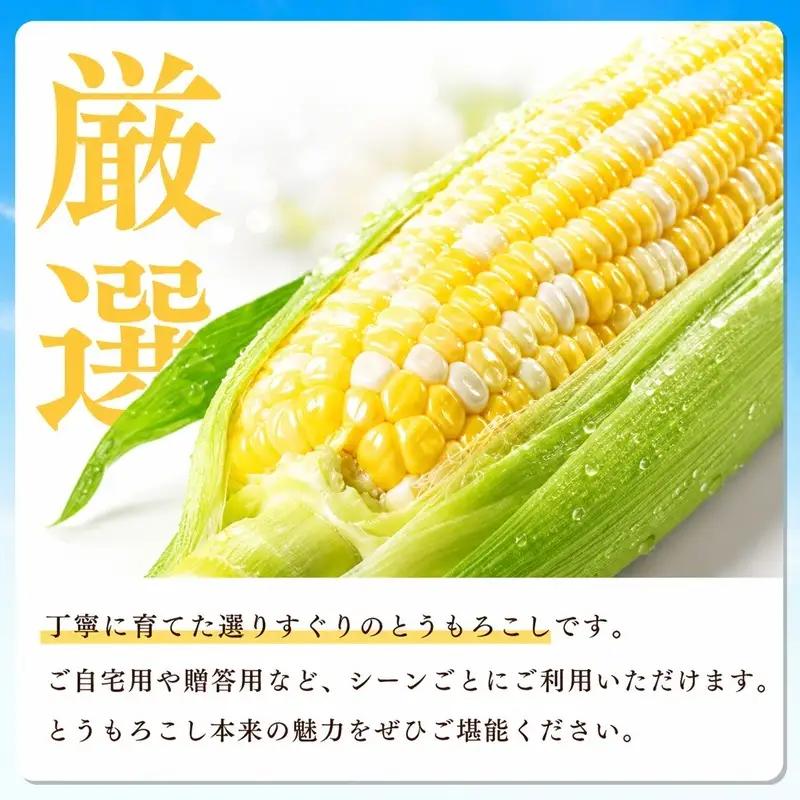 とうもろこし 甘々娘 9～11本 森町 とうもろこし