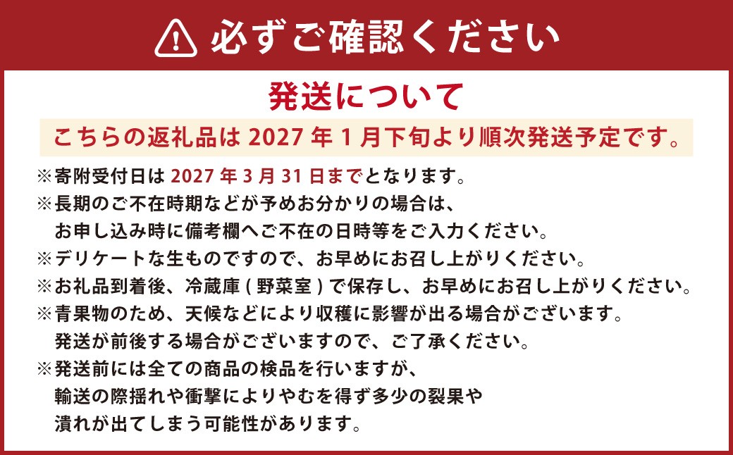 にべさんちの苺 熊本県産イチゴ桃薫(とうくん) 約400g