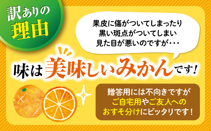 【ご家庭用】【訳あり】 原口みかん 約 5kg（S～Mサイズ混合） ＜最強の兼業農家山田さん＞ [CCX009]