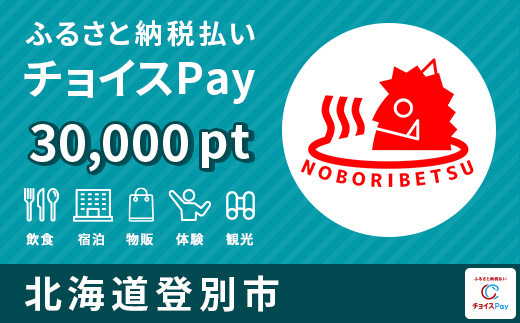 
登別市チョイスPay 30,000pt（1pt＝1円）【会員限定のお礼の品】
