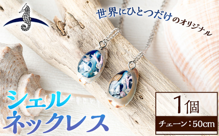 海アクセサリー シェルネックレス (1個) アクセサリー ネックレス ハンドメイド 手作り 首飾り ギフト プレゼント 贈り物 貝殻 1点もの オリジナル 数量限定 【タツノオトシゴ】as50-007