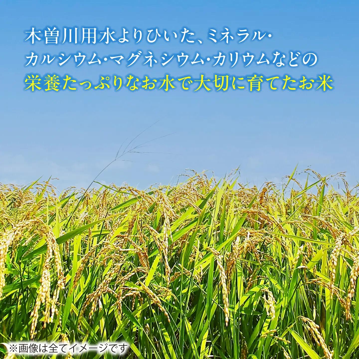 【12回定期便】あいちのかおり 白米 10kg×12か月 / 脇野コンバイン[AECP009]