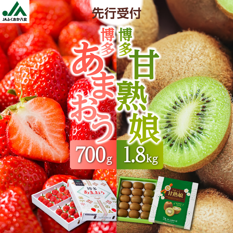 博多あまおう約700g＆博多甘熟娘キウイ約1.8kgセット（化粧箱）【2026年1月発送開始】 あまおう いちご 苺 イチゴ キウイフルーツ 果物 くだもの フルーツ セット アフター補償 ギフト 化粧箱入り 贈答品 プレゼント 贈り物 数量限定 期間限定 産地直送 福岡県 八女市