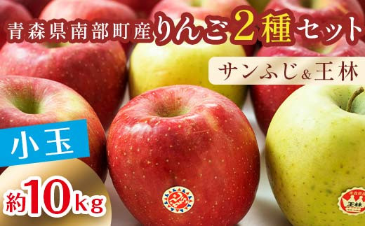 秀 （小玉） 青森産 完熟 りんご 約10kg サンふじ 王林 2種セット 【誠果園】 青森りんご リンゴ 林檎 アップル あおもり 青森 青森県 南部町 三戸 南部 澁川賞受賞 果物 くだもの フルーツ 3kg 5kg 以上 おすすめ F21U-225