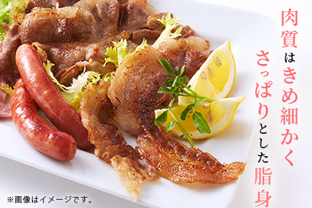 THE HOUBOQ 豚肉【業務用】まるまる一頭分【スライス加工】 HB-100