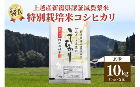 250kg限定★令和6年産・新潟県上越市吉川区国田産・県認証減農薬米／特別栽培米コシヒカリ玄米10kg