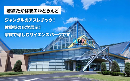 「若狭たかはまエルどらんど」空中アスレチック体験チケット(小学生・中学生)2枚