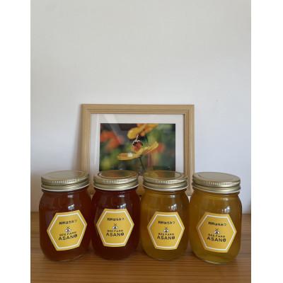 ふるさと納税 瑞浪市 純粋ハチミツ(アカシア500g×1　山桜500g×1　ソヨゴ500g×1　野山の花500g×1)