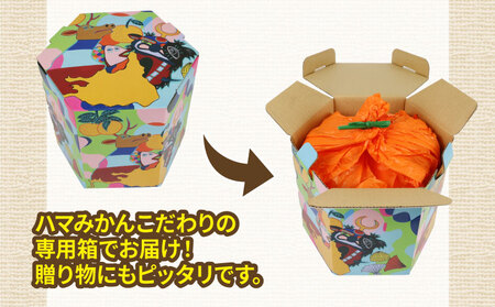 甘平 高級柑橘 2kg 贈答用 甘平 ハウス栽培 甘平 先行予約 ハマみかん 甘平甘平甘平 ハウスみかん B020-075006