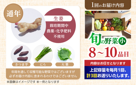 【3回定期便】 土佐の太陽をいっぱいに浴びた旬の野菜セット小 (3回配送) / 野菜 高知【土佐野菜】 [ATBA005]