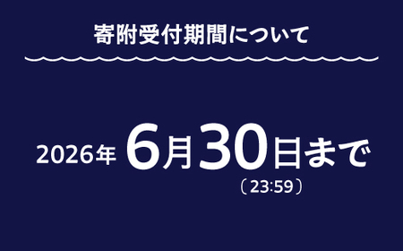 令和8年度 大石田まつり~最上川花火大会~ 単発花火 尺玉 8号 mi-fwxxx8