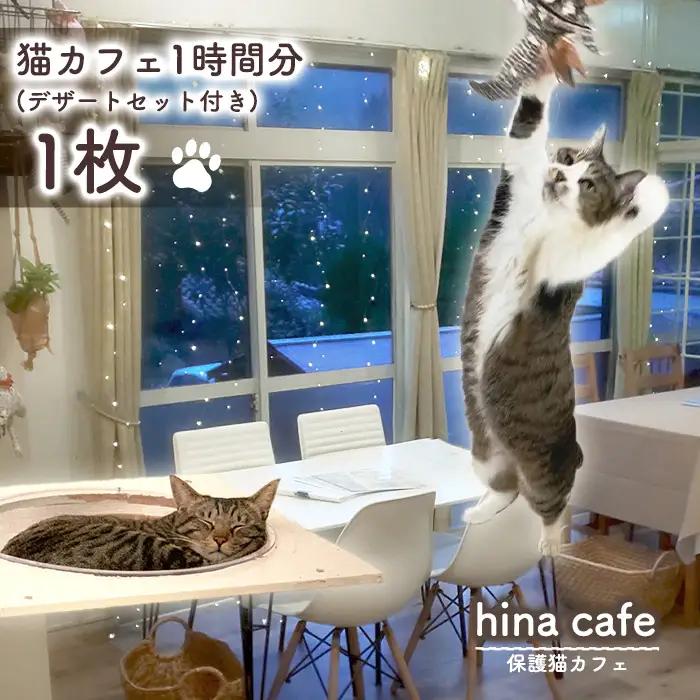 デザートセットチケット1枚 ／ hinacafe 猫カフェ スイーツ ドリンク 保護猫 遊び 触れ合い 写真撮影 まったり 癒し 山口県 No.201