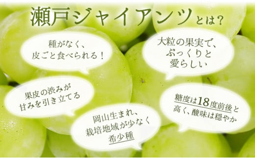 【期間限定】 鏡野町産 瀬戸ジャイアンツ 2kg（2～4房）